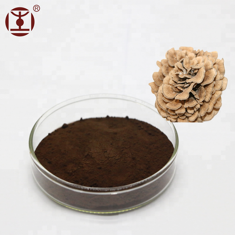 Organic Grifola Frondosa Extract Powder,Maitake Extract Powder Buy